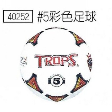 成功 40252 彩色足球 5號球 [附球針、球網]【APP滿額下單10%點數(單一帳號最高5000點)】1/31止