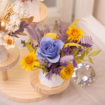 【梵谷】 永生花 乾燥花 擴香小盆花 / 開幕花禮 新居落成 辦公室