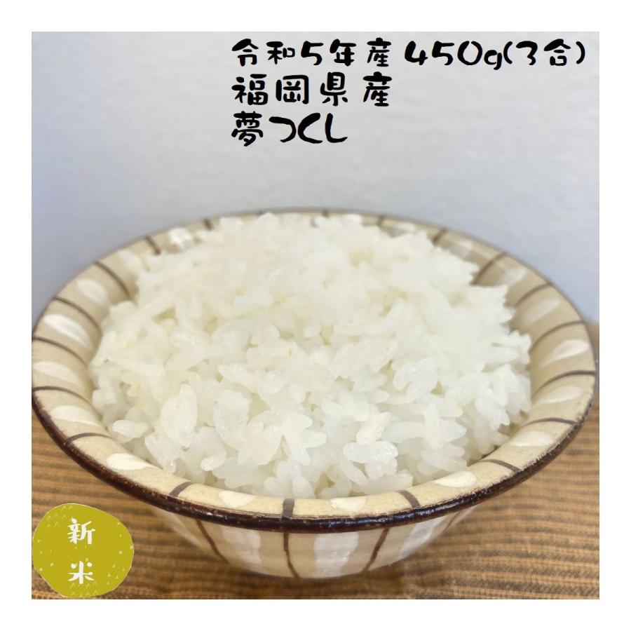 お米 お試し (450g) ポイント消化 夢つくし 3合 令和5年産