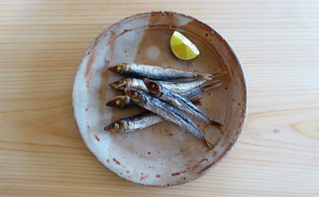 富山の干物専門店が選ぶ、お酒のおとも詰め合わせ  富山 魚津 ハマオカ海の幸