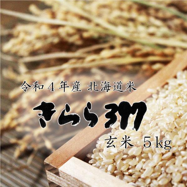 新米 米5kg お米 北海道米 きらら３９７ 玄米 ５ｋｇ 令和５年産 送料無料