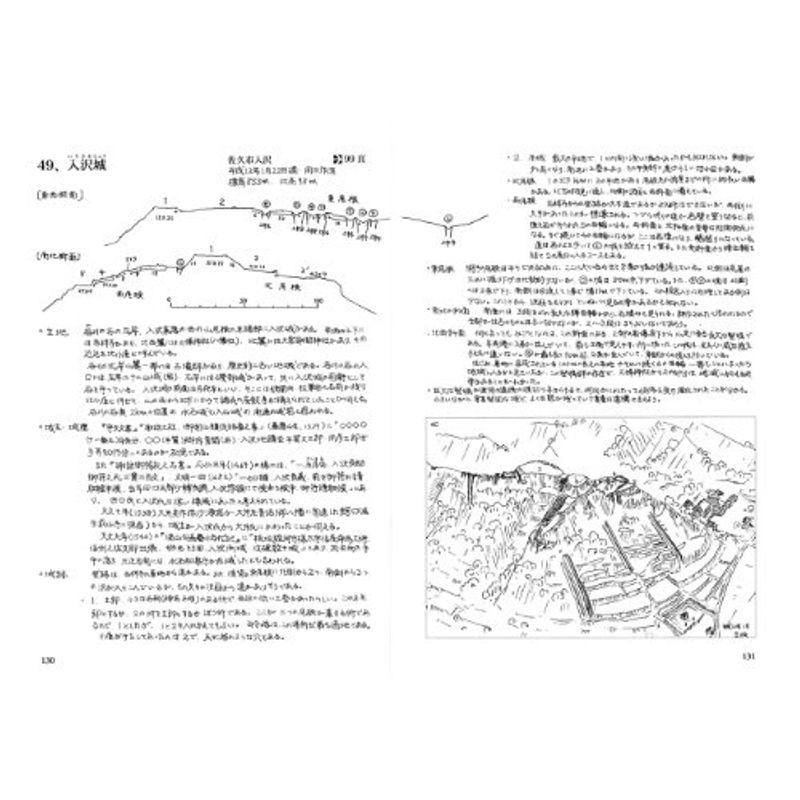 信濃の山城と館1 佐久編 縄張図・断面図・鳥瞰図で見る