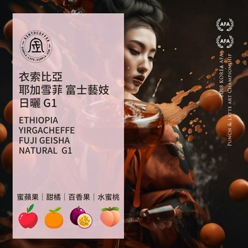[10入環保濾掛] 衣索比亞 耶加雪菲 富士藝妓 日曬