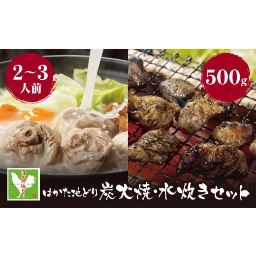 ふるさと納税 福岡県 福智町 M12-05 はかた地どり 炭火焼500g＆水炊き(2〜3人前)セット