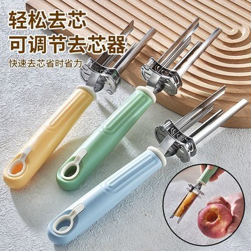 🔥臺灣出🔥紅棗山楂去核神器去棗核果核工具不鏽鋼水果去核器蘋果抽心取芯器