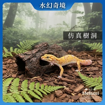 【水幻奇境】仿真樹皮躲避屋 守宮用品 迷你造景 兩棲通用 烏龜 跳蛛