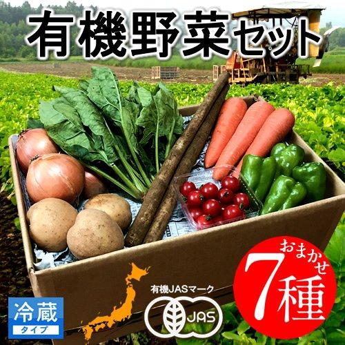 日本の有機野菜セット［7種類］季節の旬 有機農法 野菜 詰め合わせ 日本全国ご当地生産者 有機栽培 ベジタブル スムージー 野菜材料