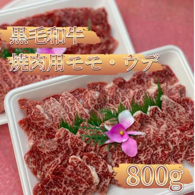 ふるさと納税 菊池市 焼肉用 モモ・ウデ 合計800g