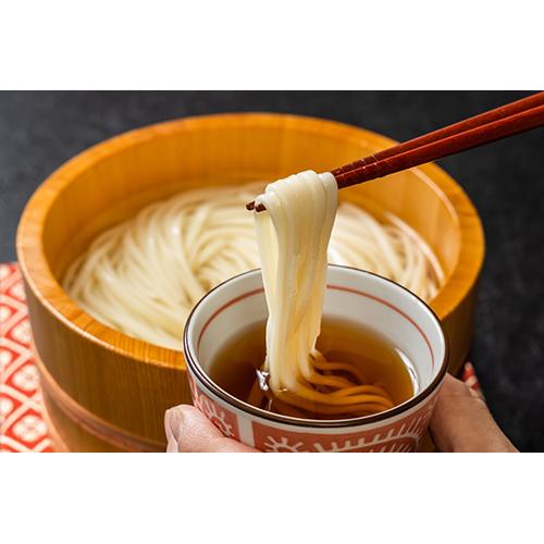 赤城食品 赤城庵うどん 540g