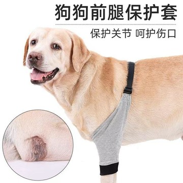 【48時熱賣】狗狗護肘狗狗防舔傷口護腿套關節受傷上藥保護套金毛腿部保暖護理