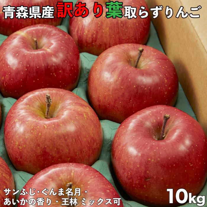 訳ありりんご 10kg 40玉前後 青森県産 送料無料 葉取らずりんご 訳あり 蜜入り リンゴ 林檎 お得用 ご家庭用 果物 フルーツ １０kg