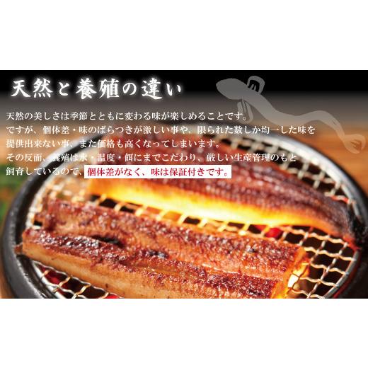 ふるさと納税 高知県 四万十市 23-1035．12ヵ月連続＜四万十食品＞うなぎ蒲焼 きざみ5袋(合計225ｇ) ／Ｋ5