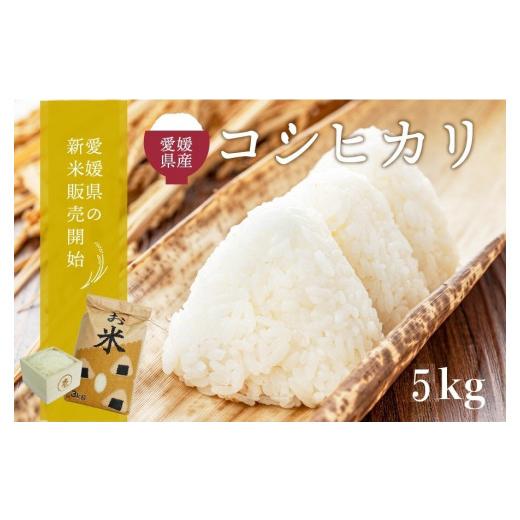 ふるさと納税 愛媛県 西予市 令和５年産　愛媛県西予市産　お米コシヒカリ５kg