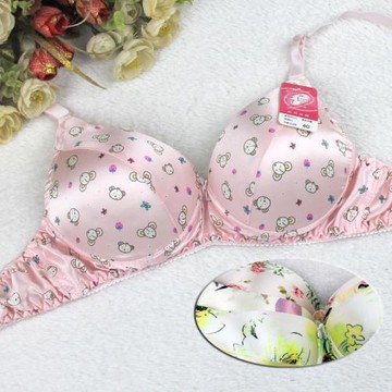 小胸福音 真絲文胸雙面真絲100%桑蠶絲保健內衣胸罩乳罩A罩杯