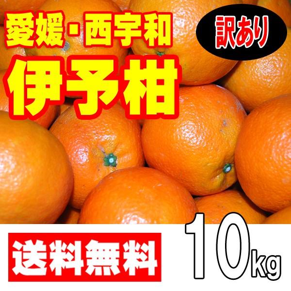 愛媛西宇和産　伊予柑　訳あり家庭用　１０ｋｇ　送料無料 産地直送