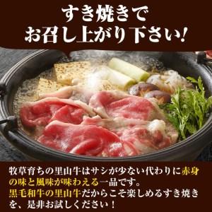 ふるさと納税 牧草育ちの里山牛 すき焼き用ロース 計800g c5-014 鹿児島県志布志市