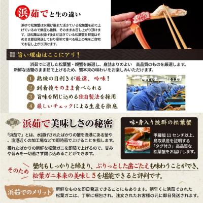 ふるさと納税 鳥取市 鳥取産浜茹で松葉がに 600g〜800g (大サイズ)