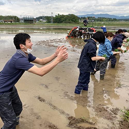 水菜土農園新米 宮城県産 ひとめぼれ 5kg 令和5年産 古代米お試し袋付き