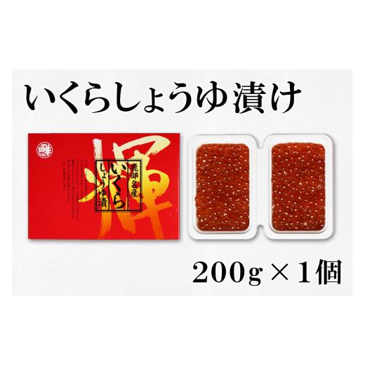 ふるさと納税 北海道 鹿部町 大粒ほたて貝柱250g×1 いくらしょうゆ漬け100g×2 無着色たらこ200g×2 北海道 丸鮮道場水産 詰め合わせ 小分け