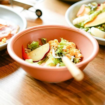 24H台灣出貨【日本製 - DULTON．瓷碗】碗 湯碗 米飯碗 餐具 碗盤器皿 小碗 可微波 日式飯碗 陶瓷碗 瓷碗