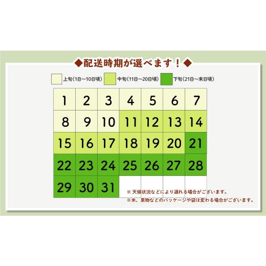 ふるさと納税 山形県 村山市 米 新米 はえぬき 毎月定期便 10kg×3回 精米 令和5年産  2024年5月中旬〜 mk-haxxa10-sm5to7b