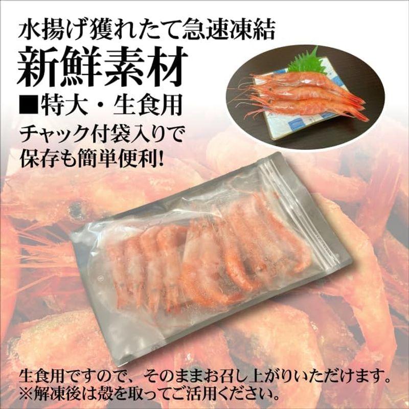 まるひな水産 日本海産特大甘海老生食用10尾