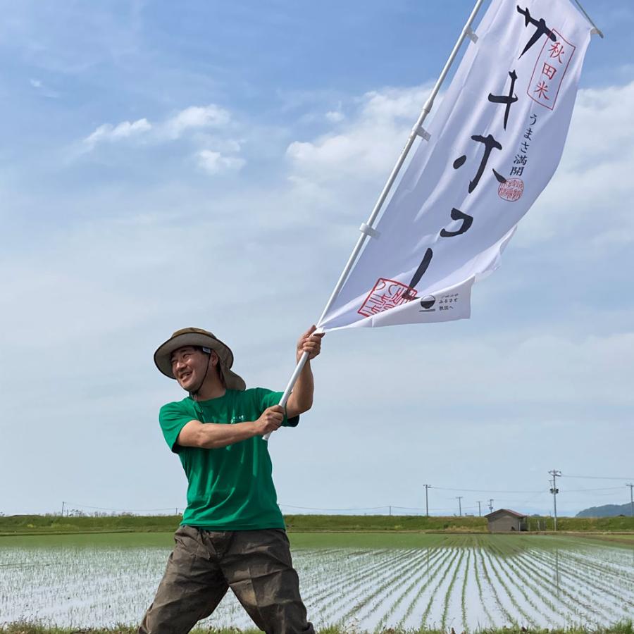 新米 米 お米 米4kg 白米 精米 セット 食べ比べ （ 秋田県産 サキホコレ 2kg  青森県産 はれわたり 2kg ）令和5年産 古代米お試し袋付き