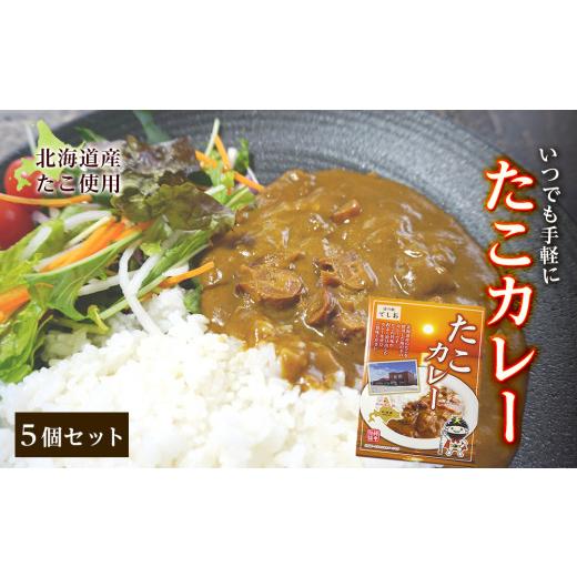 ふるさと納税 北海道 天塩町 いつでも手軽に「たこカレー」５個セット