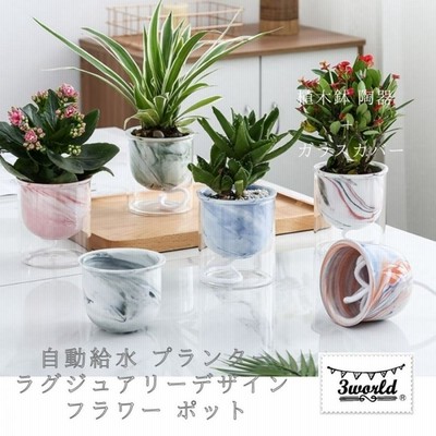 鉢シンプルプランターの検索結果 | LINEショッピング