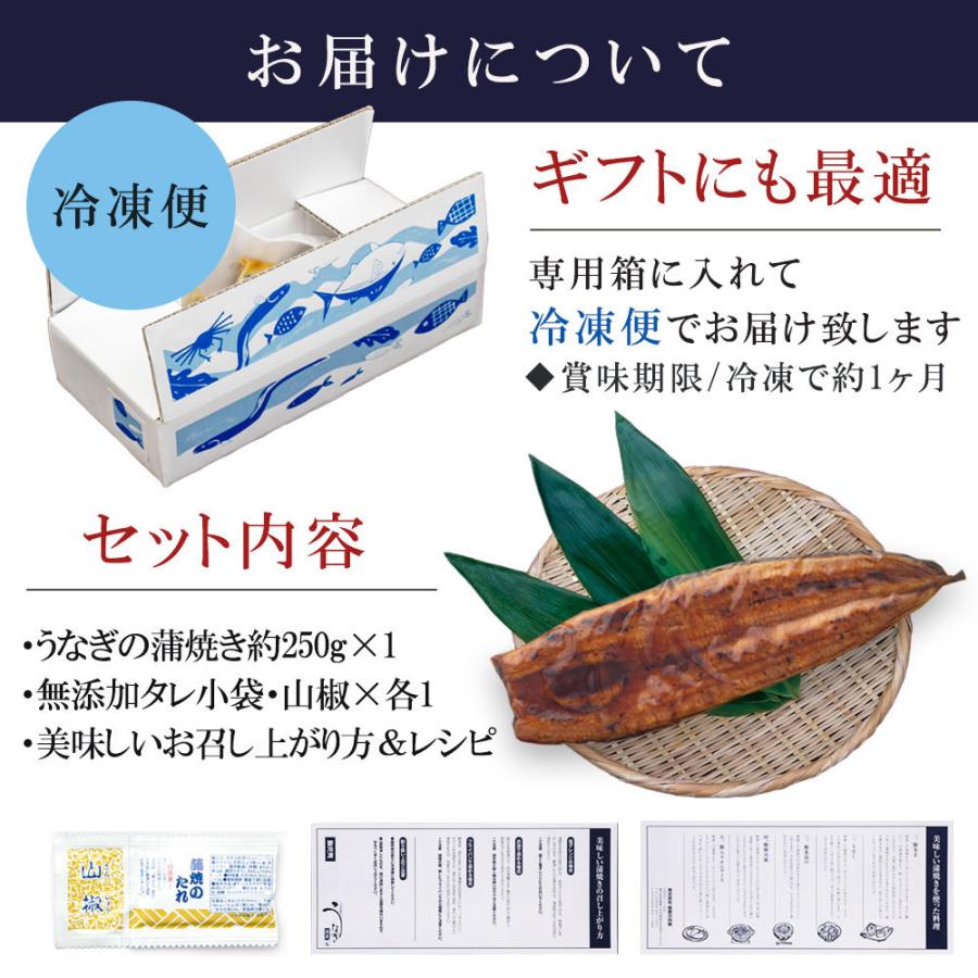 うなぎ 超特大 国産 蒲焼き 鰻 開き お取り寄せ ギフト お歳暮 2023 冬ギフト プレゼント 贈り物 美味しい タレ 鹿児島 お得 250g 1尾