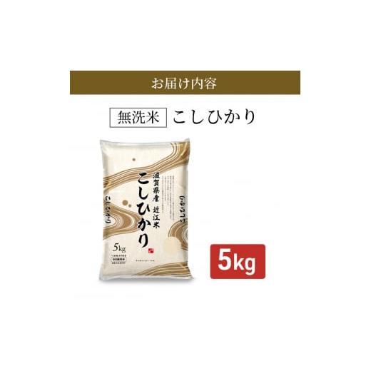 ふるさと納税 滋賀県 豊郷町 米 こしひかり BG無洗米 5kg 令和5年 ふるさと応援特別米 無洗米 お米 こめ コメ おこめ 白米 コシヒカ…