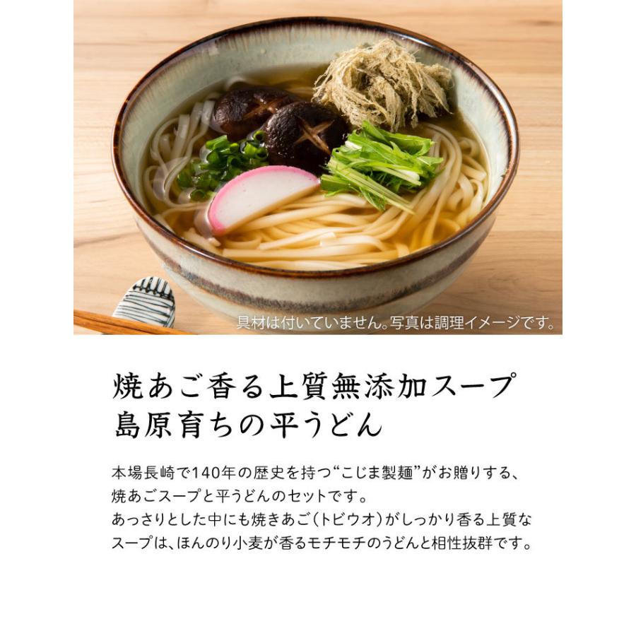 産地直送 九州 お取り寄せ 無添加 あごスープ 平麺 お試し 送料無料