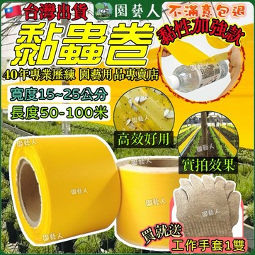 【黏性加強款】黏蟲紙 果蠅誘捕器 誘蟲黏紙 黃色  蟲黏紙 蚜蟲 蒼蠅 溫室 果實蠅 薊馬 黏蠅 黏蟲膠 果蠅黏紙