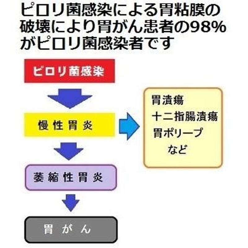 郵送検査キットセンター】ピロリ菌検査キット・胃がん検診 精度の高い