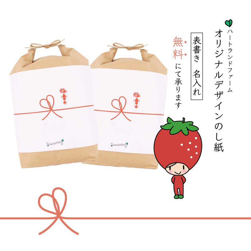 新米 10kg （5kg×2袋） つや姫・はえぬき 食べ比べセット 山形県 令和5年産  お米 送料無料（一部地域を除く）精白米 ギフト 贈り物 のし無料