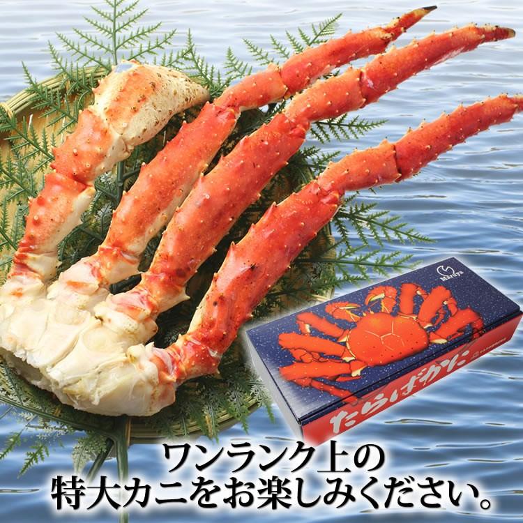 お歳暮 御歳暮 ギフト 2023 カニ かに 蟹 タラバガニ 脚 特大 EXサイズ 1.1kg 海鮮 ボイル 蟹 足 脚 グルメ ギフト 送料無料