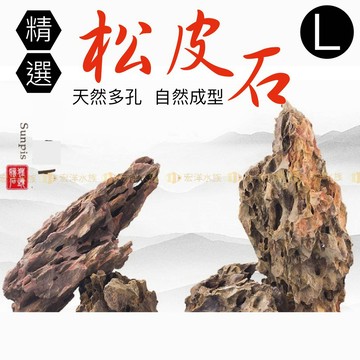 宏洋水族園藝造景【L虎皮石/松皮石/火焰石】水族造景 魚缸裝飾 魚缸造景 水草造景 水草裝飾 水族岩石/螞蟻巢 螞蟻