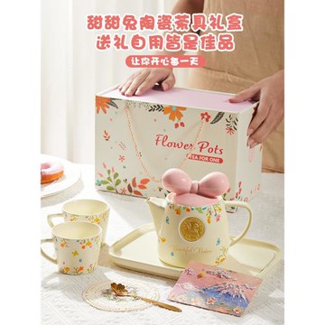 杯子家用泡茶杯套裝茶具茶壺生日禮物女高顏值新婚伴手禮新家喬遷