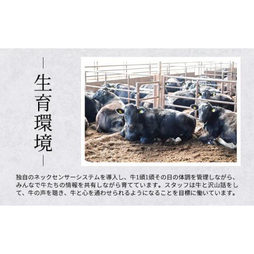 ふるさと納税 北海道 標茶町 焼肉 北海道産 星空の黒牛 厳選6種 食べ比べ 約650g 牛肉 牛 お肉 バーベキュー ロース カルビ 肉