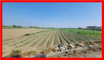 安南佃北5.6分都內農地｜台南市安南區佃北段​