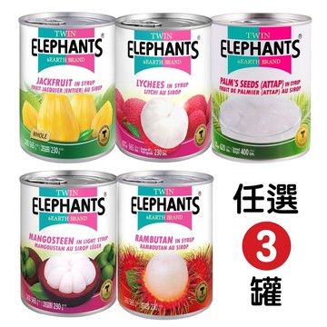 【雙象地球牌】糖水水果罐頭-亞答子/山竹/紅毛丹/荔枝/菠蘿蜜(任選 3 罐)