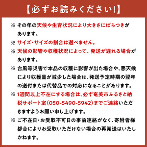 農家直送 パッションフルーツ　贈答用1ｋｇ（秀品12個入り）×3 奄美大島産 贈答用 果物 先行予約 2024年 6月 ビタミン 葉酸 トロピカルフルーツ 鹿児島 夏の果物 旬 3kg