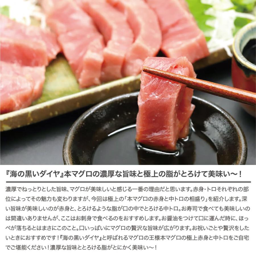 本マグロ 赤身・中トロ 食べくらべ セット 400g前後 (各1柵入 200g前後 柵) マグロ問屋直送 鮮度抜群 冷凍 本鮪 お刺身 北海道 ま印水産