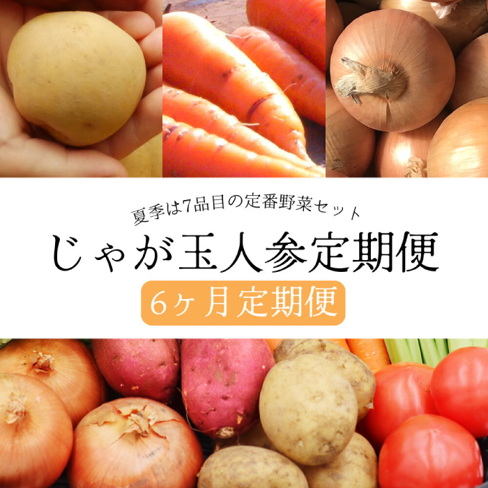  じゃが玉人参セット 約5kg じゃがいも・玉ねぎ・人参の定番野菜 3品目の野菜詰め合わせ 夏季は7～8品目 野菜 セット 大村市 古瀬青果 [ACBD008]