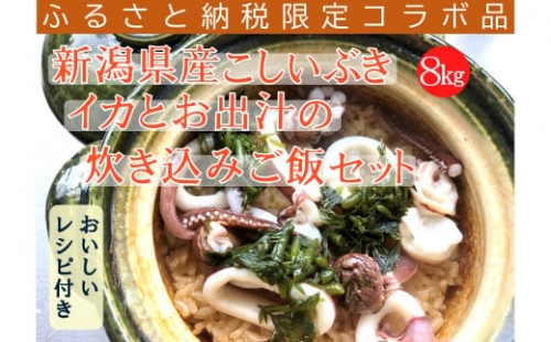 『新潟県産こしいぶき』と『イカとお出汁の炊き込みご飯』セット