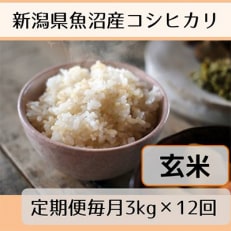 新潟県魚沼産コシヒカリ「山清水米」玄米3kg全12回