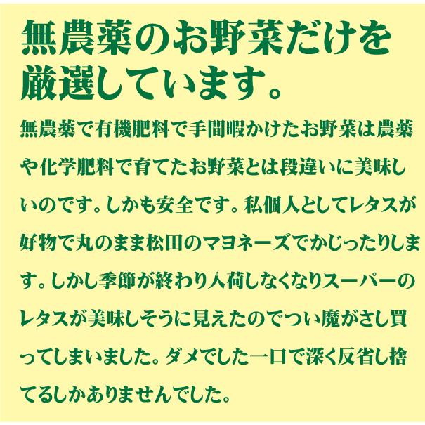 定期購入毎週お届け・無農薬100％・旬の新鮮野菜セット（約７品目）×５週分（ ・月、金曜日発送）　 　無農薬野菜