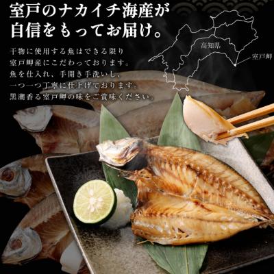 ふるさと納税 室戸市 ナカイチ厳選!カツオたたきと干物セットA