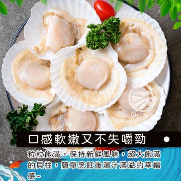 【歐嘉嚴選】野生生凍半殼扇貝5包組-500G/包-包冰率40%