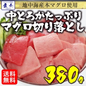 本まぐろ 切り落し 冷凍 380g 訳あり 送料無料 マグロ 鮪 贅沢盛り 刺身 鉄火丼 ギフト